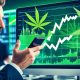 Cannabis Aktien kaufen 2024 - Tipps & Ratgeber