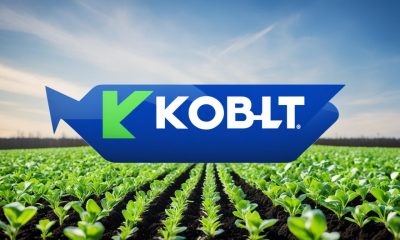 Kobalt Aktien kaufen 2024 - Tipps & Ratgeber